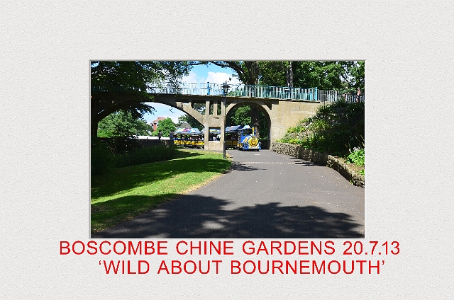 20 07 13_5684_edited-2.jpg - BOSCOMBE CHINE GARDENS 20.7.13 - 'WILD ABOUT BOURNEMOUTH BNSS & DORSET WLIDLIFE TRUST EVENT'
